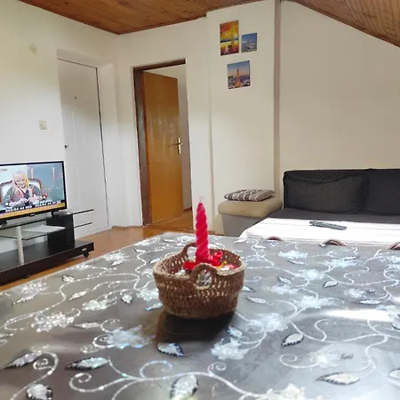 Appartement Lenka Sokobanja
