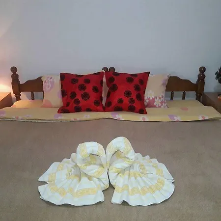 Lenka 索科矿泉村